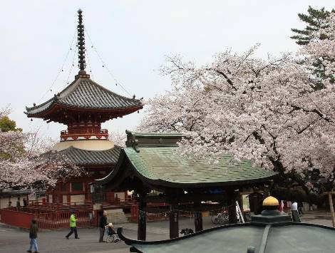 {WG匯遊會娛樂}(日本旅游自由行)
